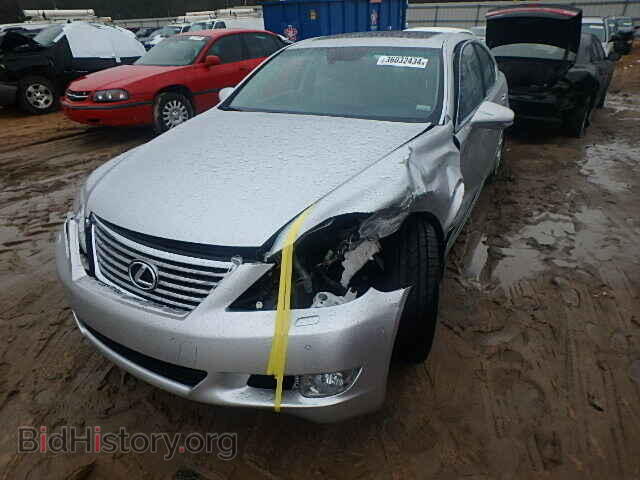 2010 LEXUS LS460 - VIN: JTHBL5EF7A5095721 - Фото 2