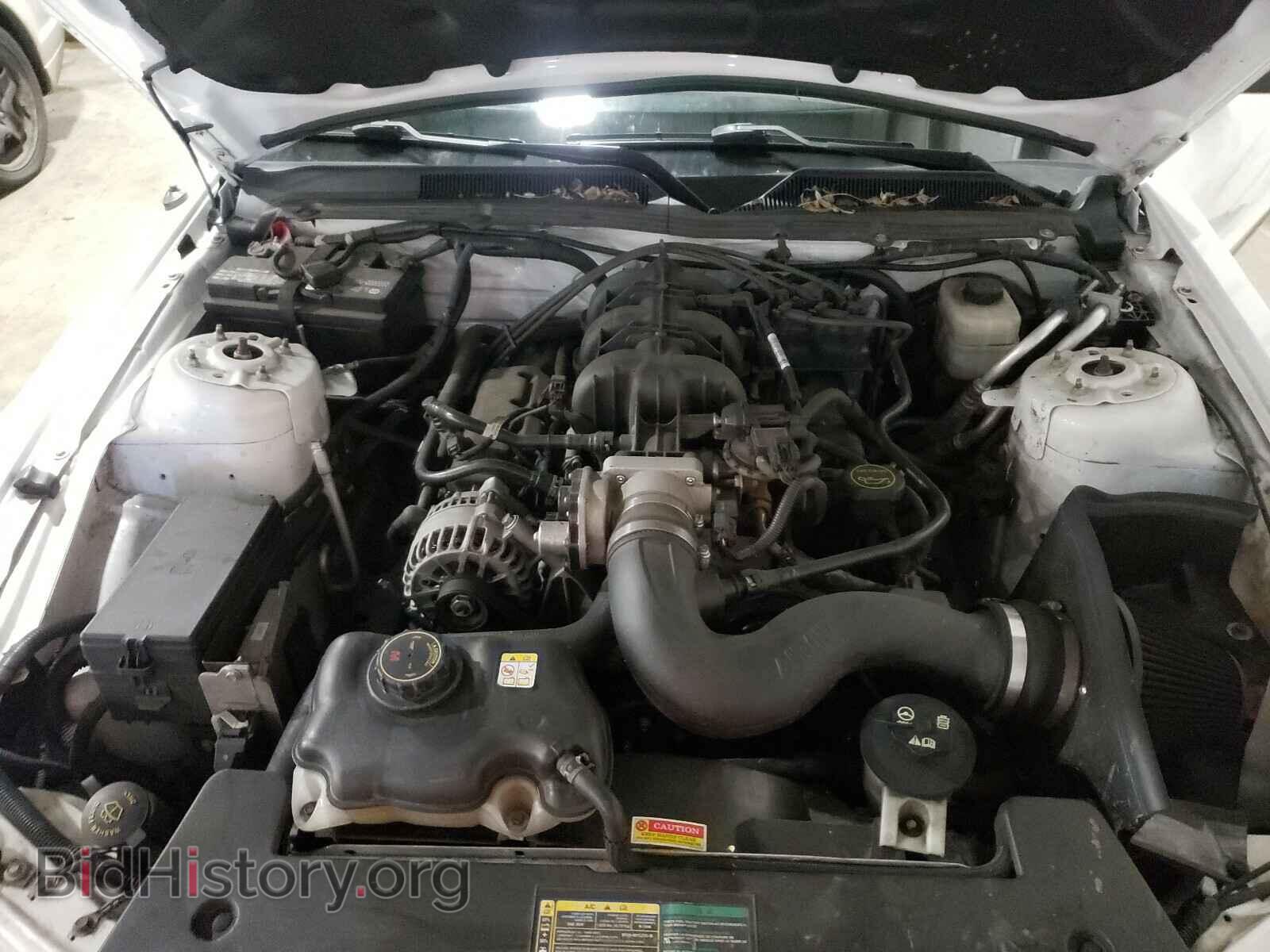 2008 FORD MUSTANG - VIN: 1ZVHT80N885126557 - Фото 7