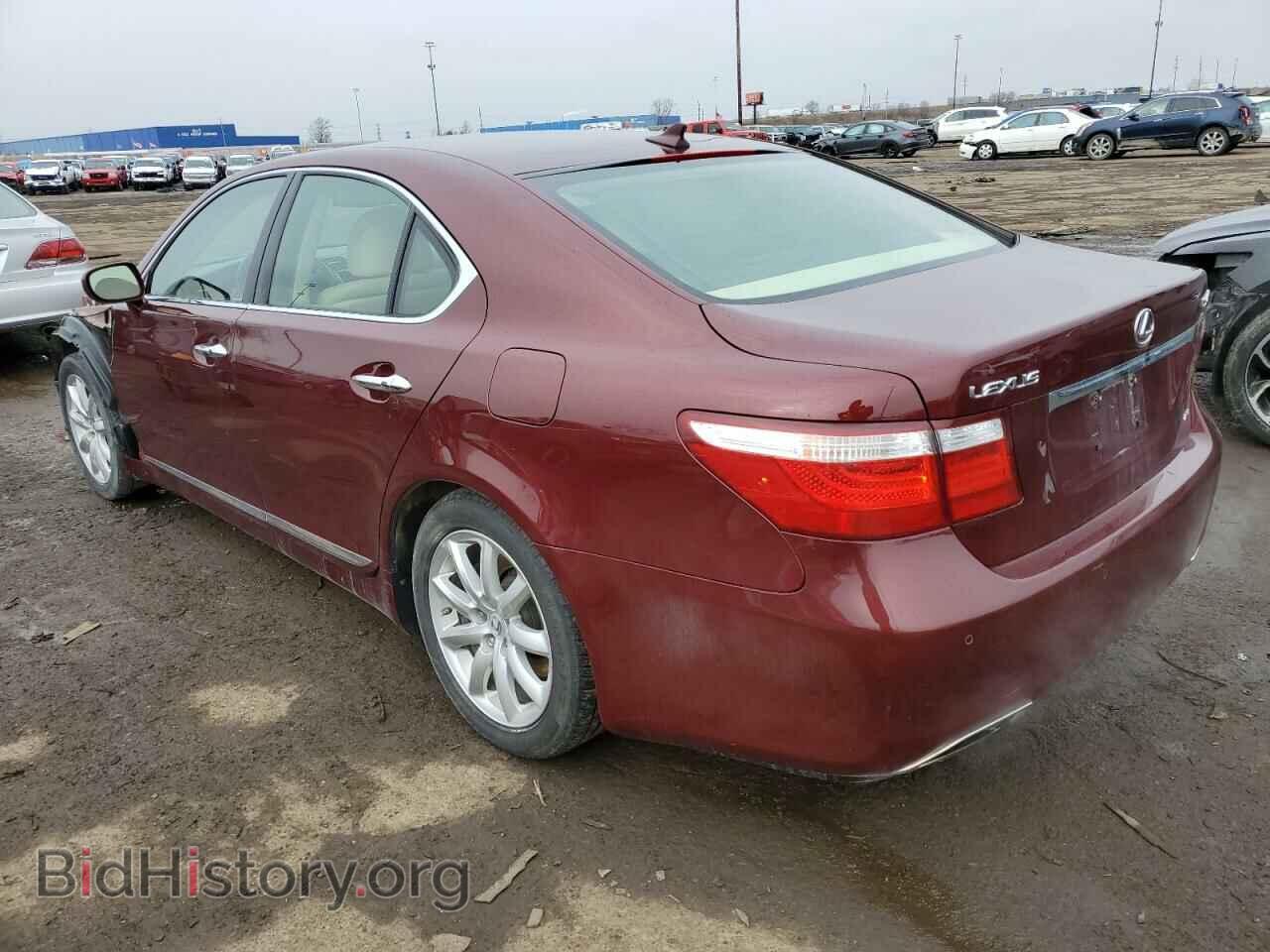 2009 LEXUS LS460 - VIN: JTHCL46F495004266 - Фото 2