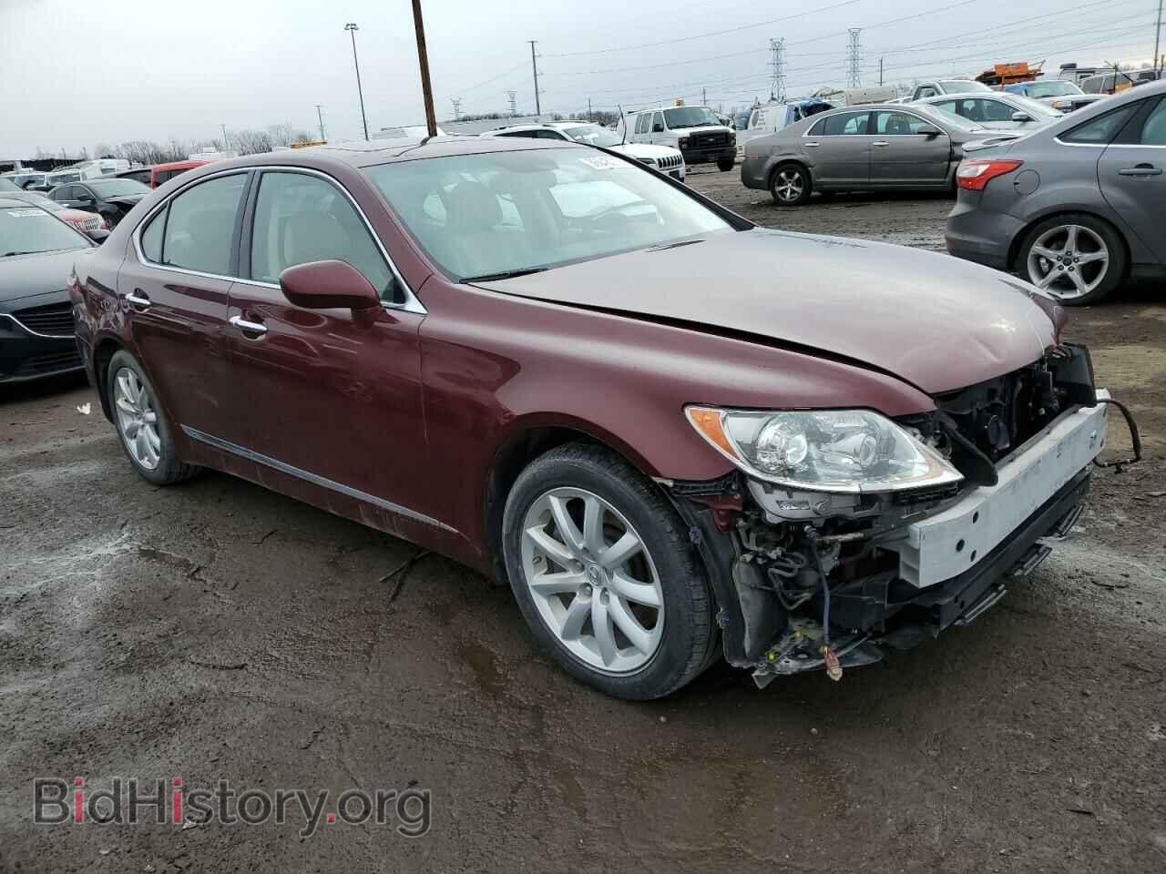 2009 LEXUS LS460 - VIN: JTHCL46F495004266 - Фото 4