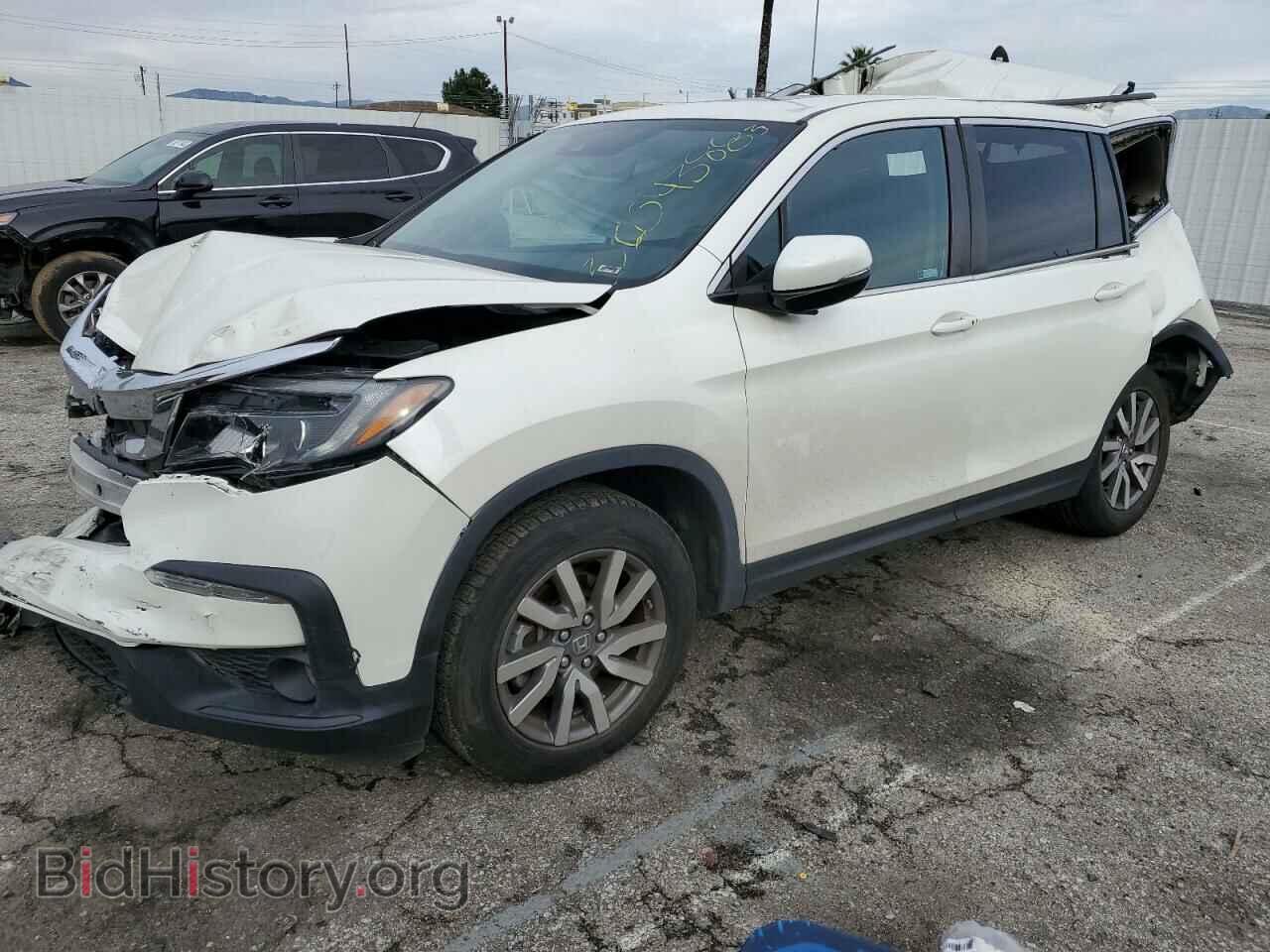 Photo 5FNYF5H54KB031884 - HONDA PILOT 2019