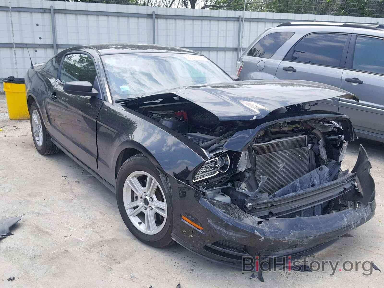 Photo 1ZVBP8AM1D5282076 - FORD MUSTANG 2013