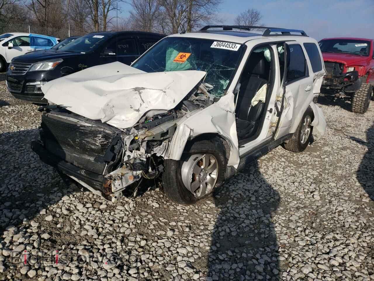 Фотография 1FMCU0EG0CKB29223 - FORD ESCAPE 2012