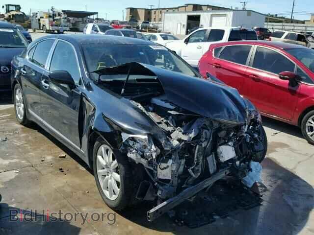 Фотография JTHBL46FX85077653 - LEXUS LS460 2008