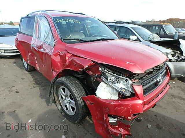 Фотография 2T3BF4DV5BW083010 - TOYOTA RAV4 2011