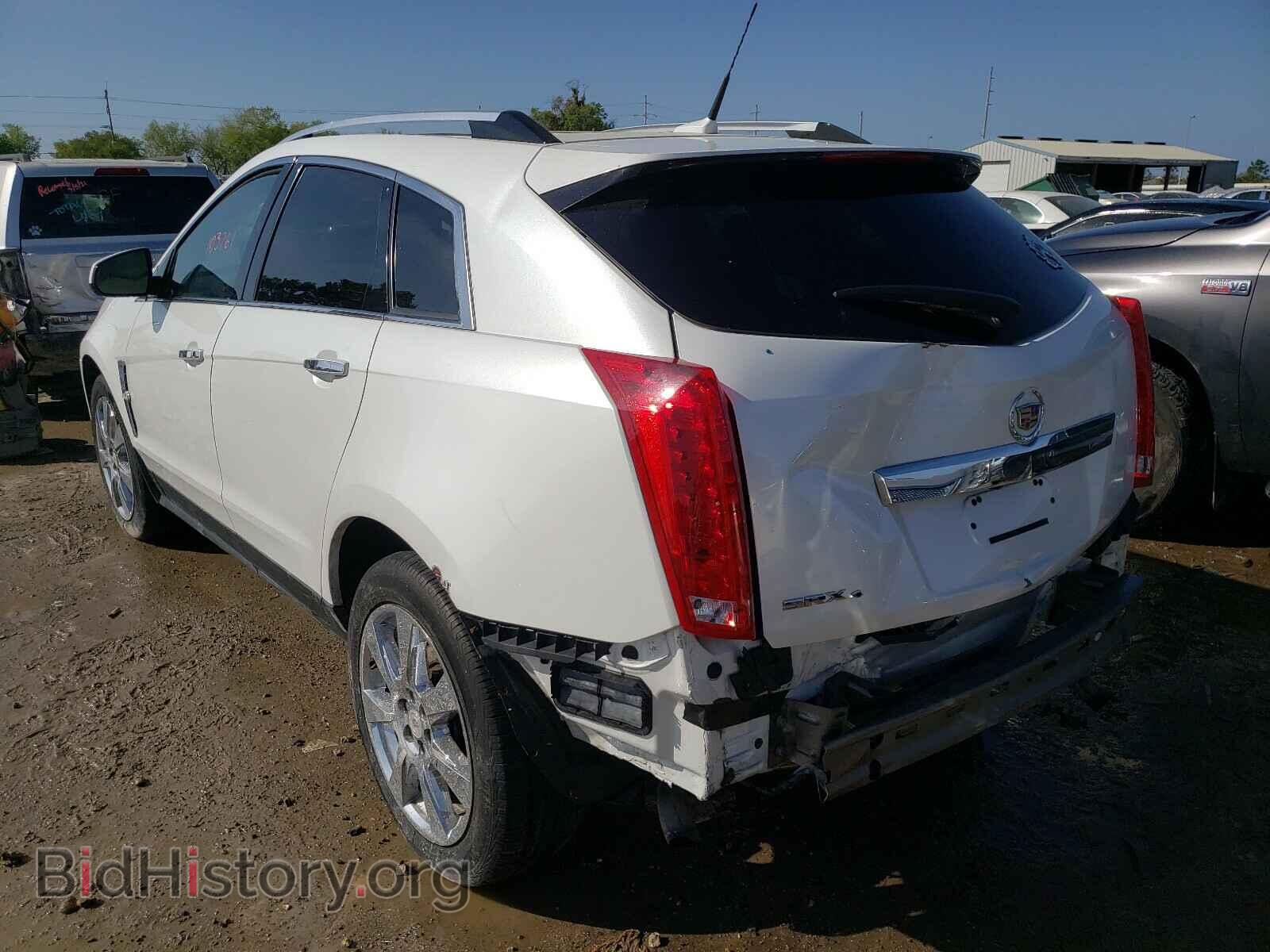 2010 CADILLAC SRX - VIN: 3GYFNFEY5AS522964 - Фото 3