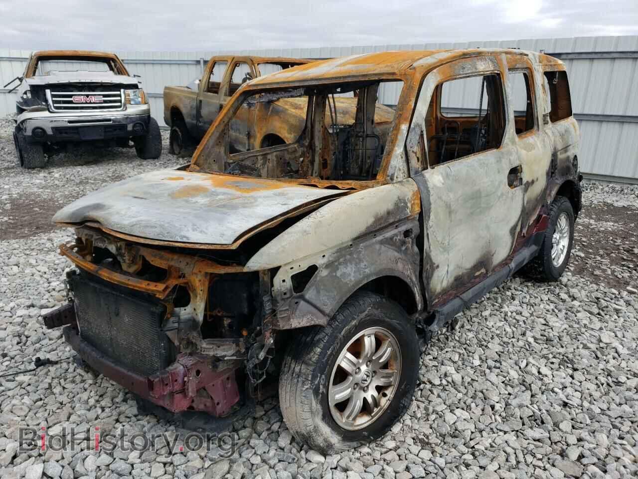 Photo 5J6YH28757L010115 - HONDA ELEMENT 2007
