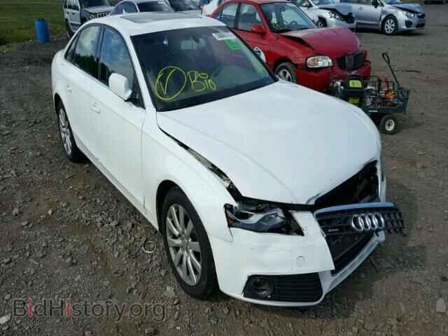 Photo WAUFFAFL9BN046073 - AUDI A4 2011