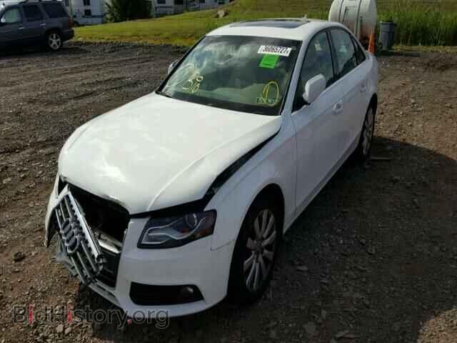 2011 AUDI A4 - VIN: WAUFFAFL9BN046073 - Фото 2