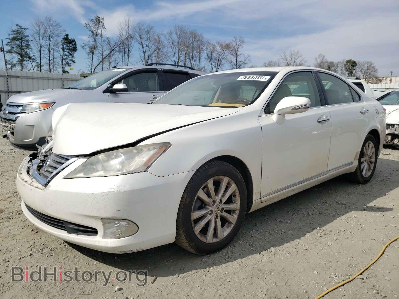 2011 LEXUS ES350 - VIN: JTHBK1EG1B2425716 - Фото 2