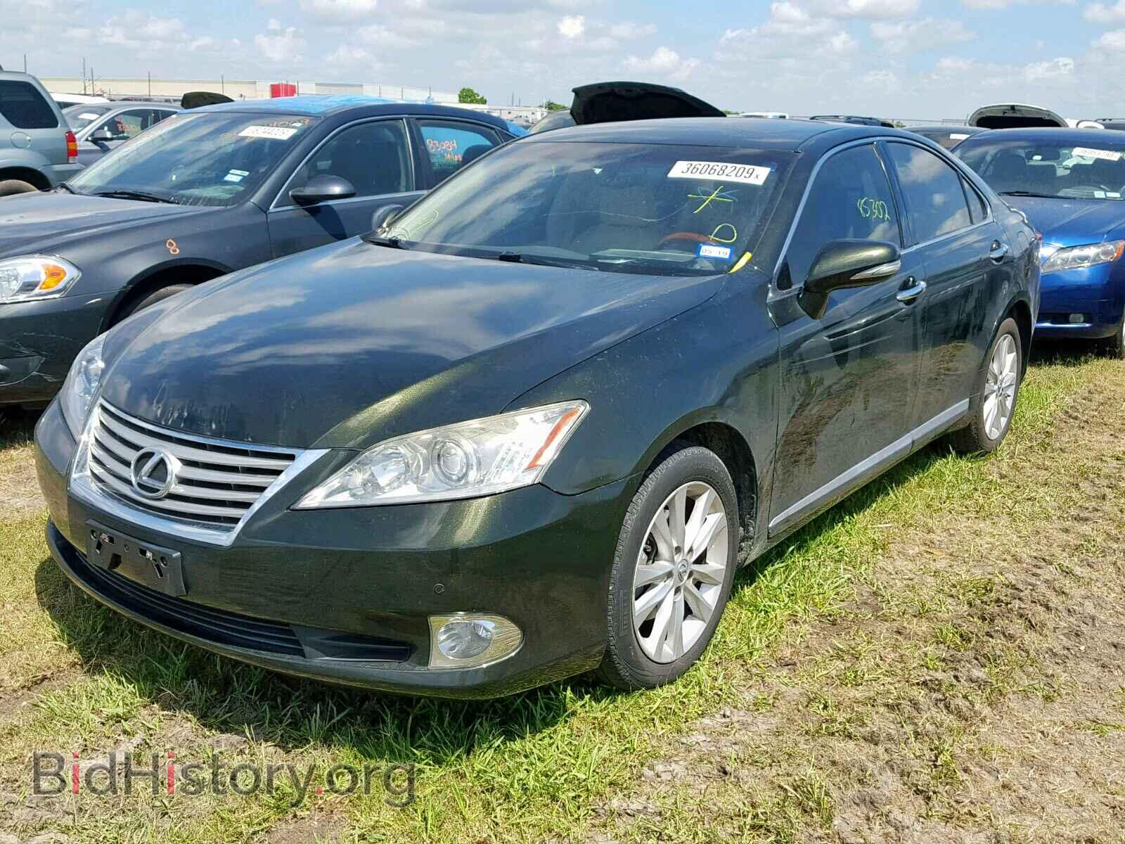 2010 LEXUS ES350 - VIN: JTHBK1EG7A2385186 - Фото 2