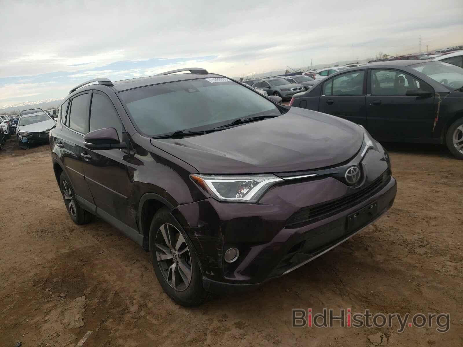 Photo 2T3RFREV9HW663024 - TOYOTA RAV4 2017