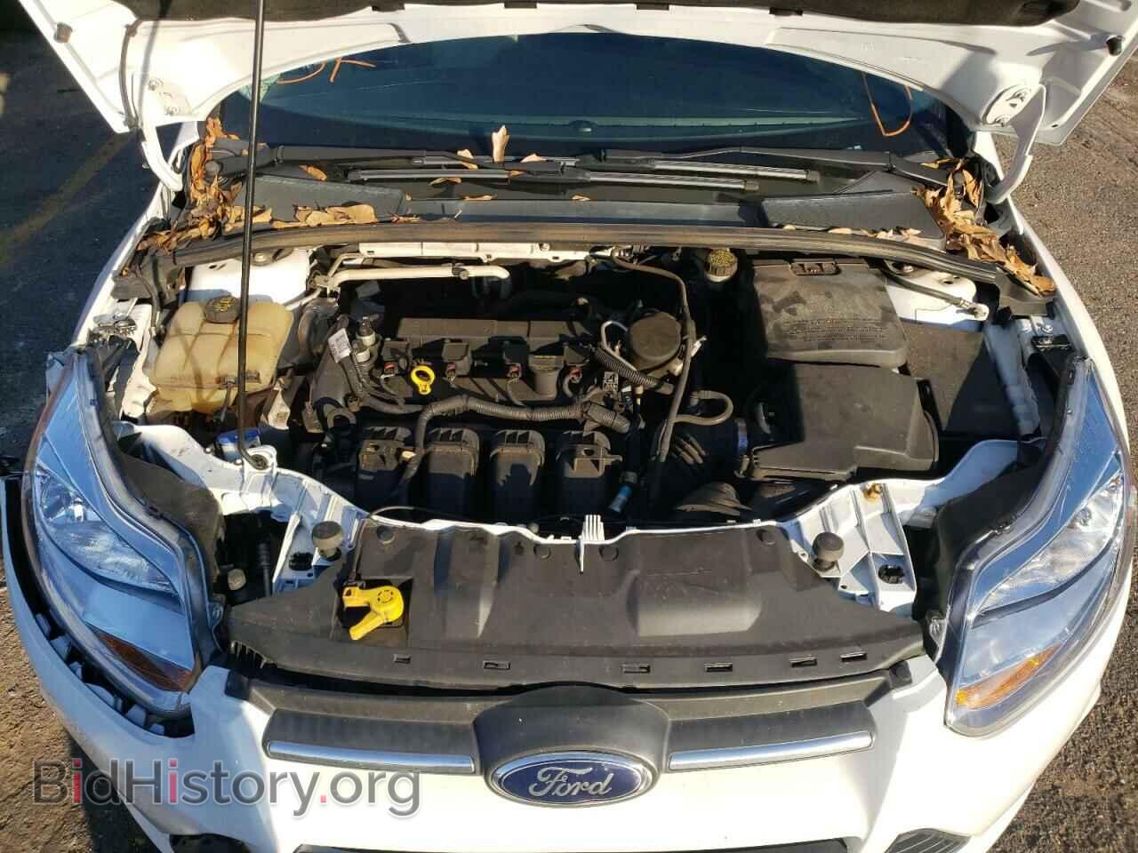 2014 FORD FOCUS - VIN: 1FADP3K20EL227231 - Фото 11