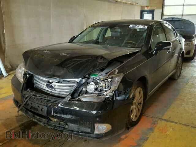 2010 LEXUS ES350 - VIN: JTHBK1EG6A2376902 - Фото 2