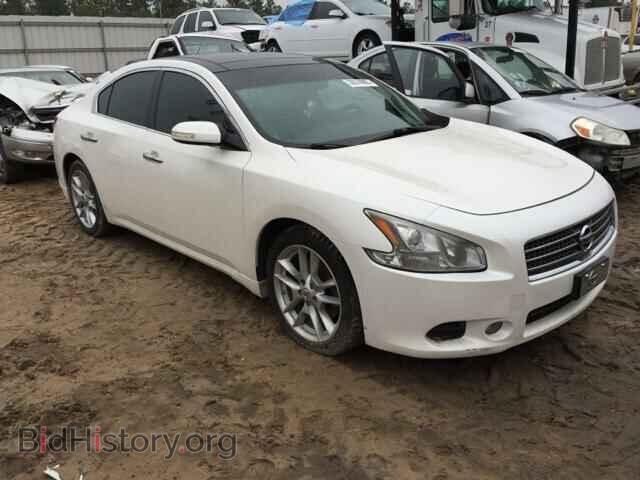 Фотография 1N4AA5AP4AC818072 - NISSAN MAXIMA 2010