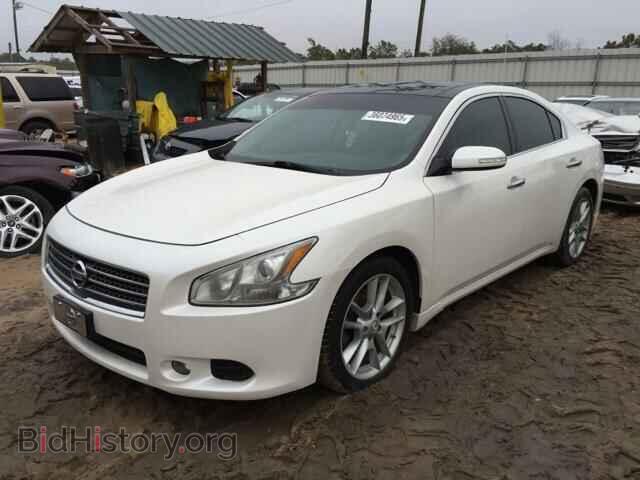 2010 NISSAN MAXIMA - VIN: 1N4AA5AP4AC818072 - Фото 2