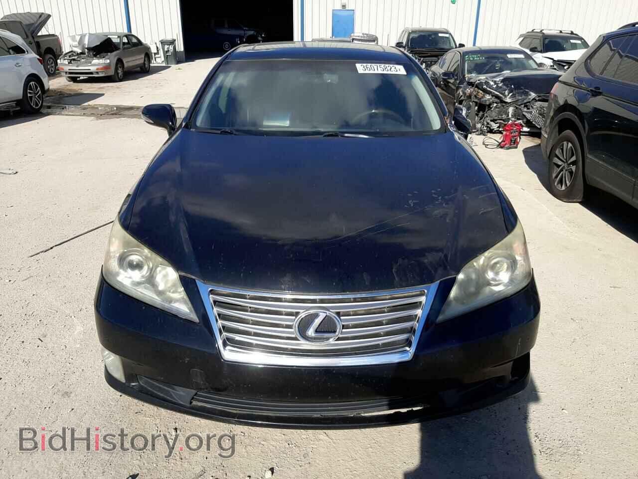 2010 LEXUS ES350 - VIN: JTHBK1EG2A2345307 - Фото 5