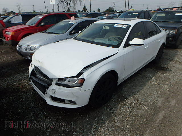 2010 AUDI A4 - VIN: WAUAFAFL8AN056831 - Фото 2