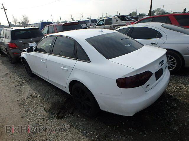 2010 AUDI A4 - VIN: WAUAFAFL8AN056831 - Фото 3