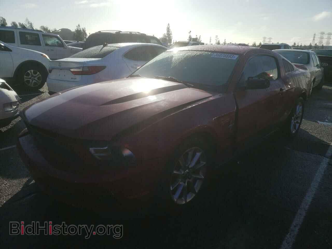 Photo 1ZVBP8AN8A5115122 - FORD MUSTANG 2010