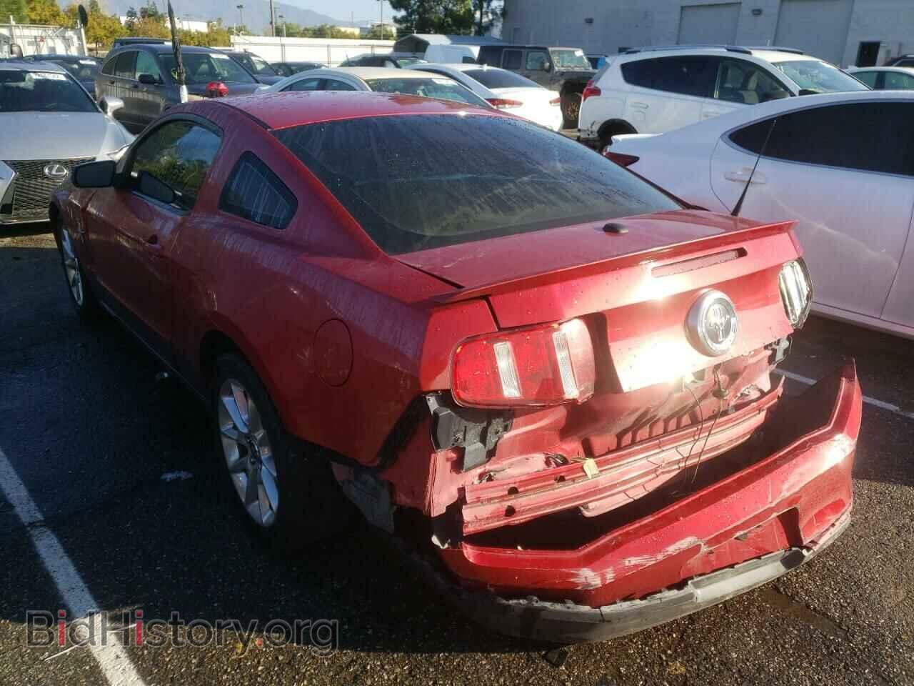 2010 FORD MUSTANG - VIN: 1ZVBP8AN8A5115122 - Фото 2