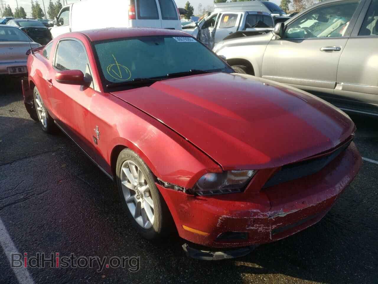 2010 FORD MUSTANG - VIN: 1ZVBP8AN8A5115122 - Фото 4