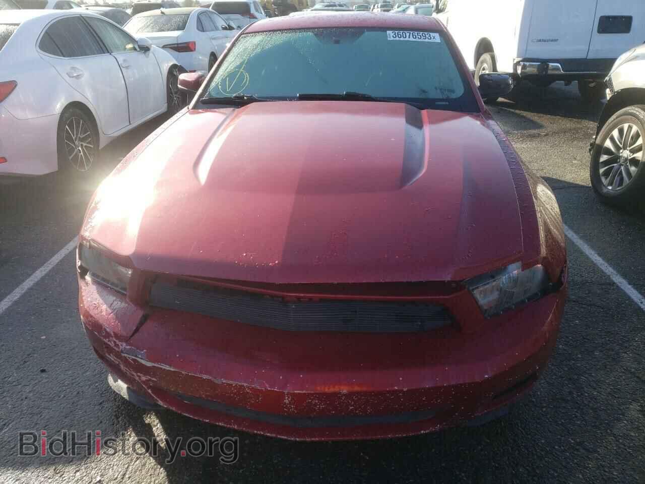 2010 FORD MUSTANG - VIN: 1ZVBP8AN8A5115122 - Фото 5