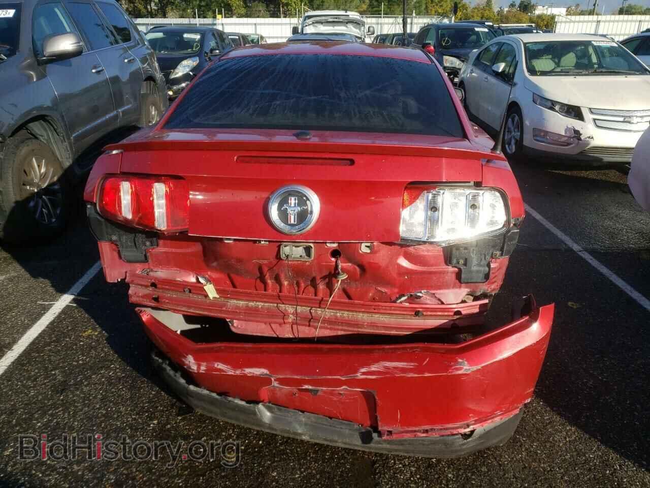 2010 FORD MUSTANG - VIN: 1ZVBP8AN8A5115122 - Фото 6