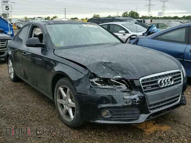 Фотография WAULF78K79A081030 - AUDI A4 2009