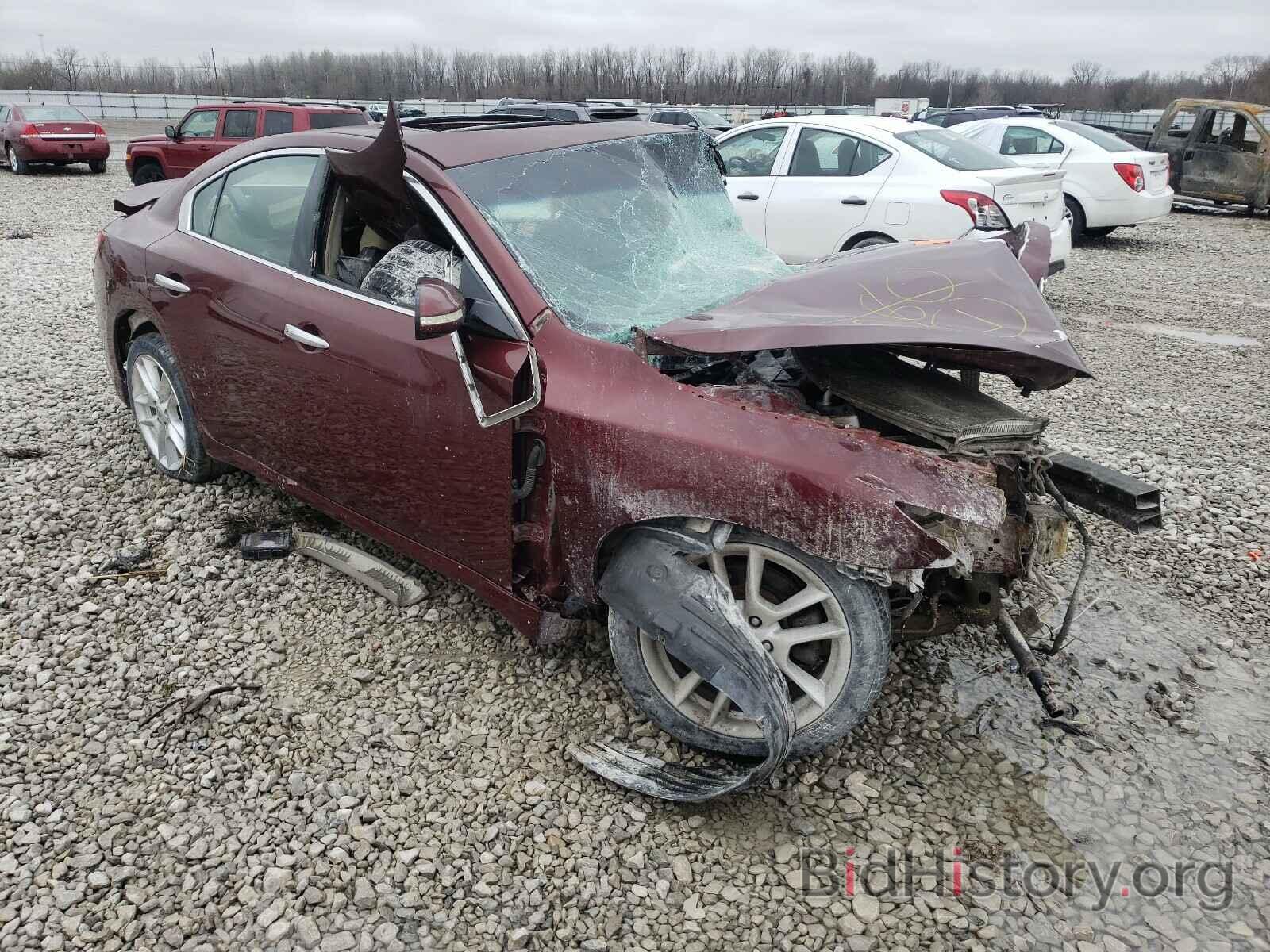 Photo 1N4AA51E59C821184 - NISSAN MAXIMA 2009