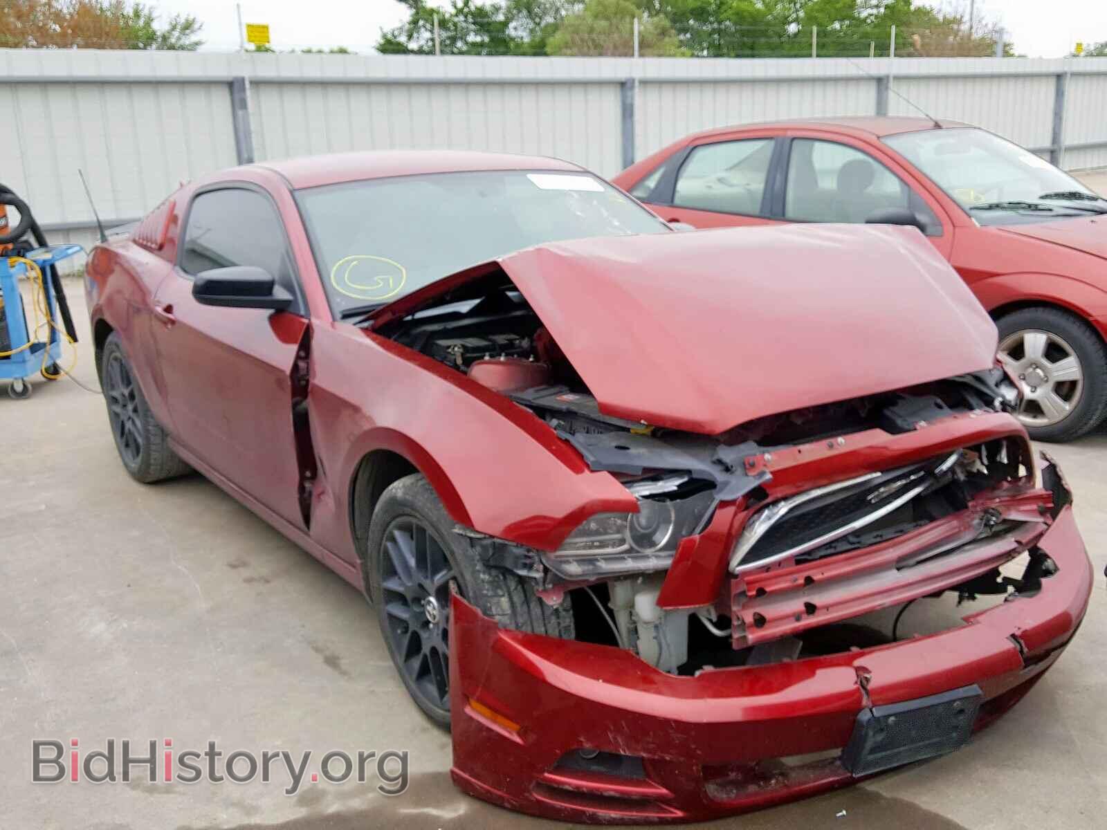 Photo 1ZVBP8AMXE5261065 - FORD MUSTANG 2014