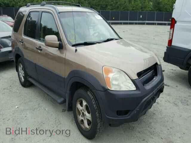 Фотография SHSRD78883U107407 - HONDA CRV 2003