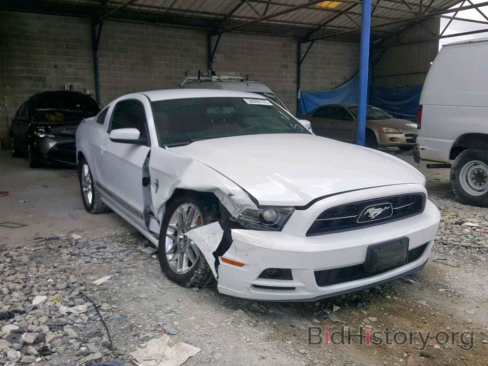 Photo 1ZVBP8AM0E5278070 - FORD MUSTANG 2014
