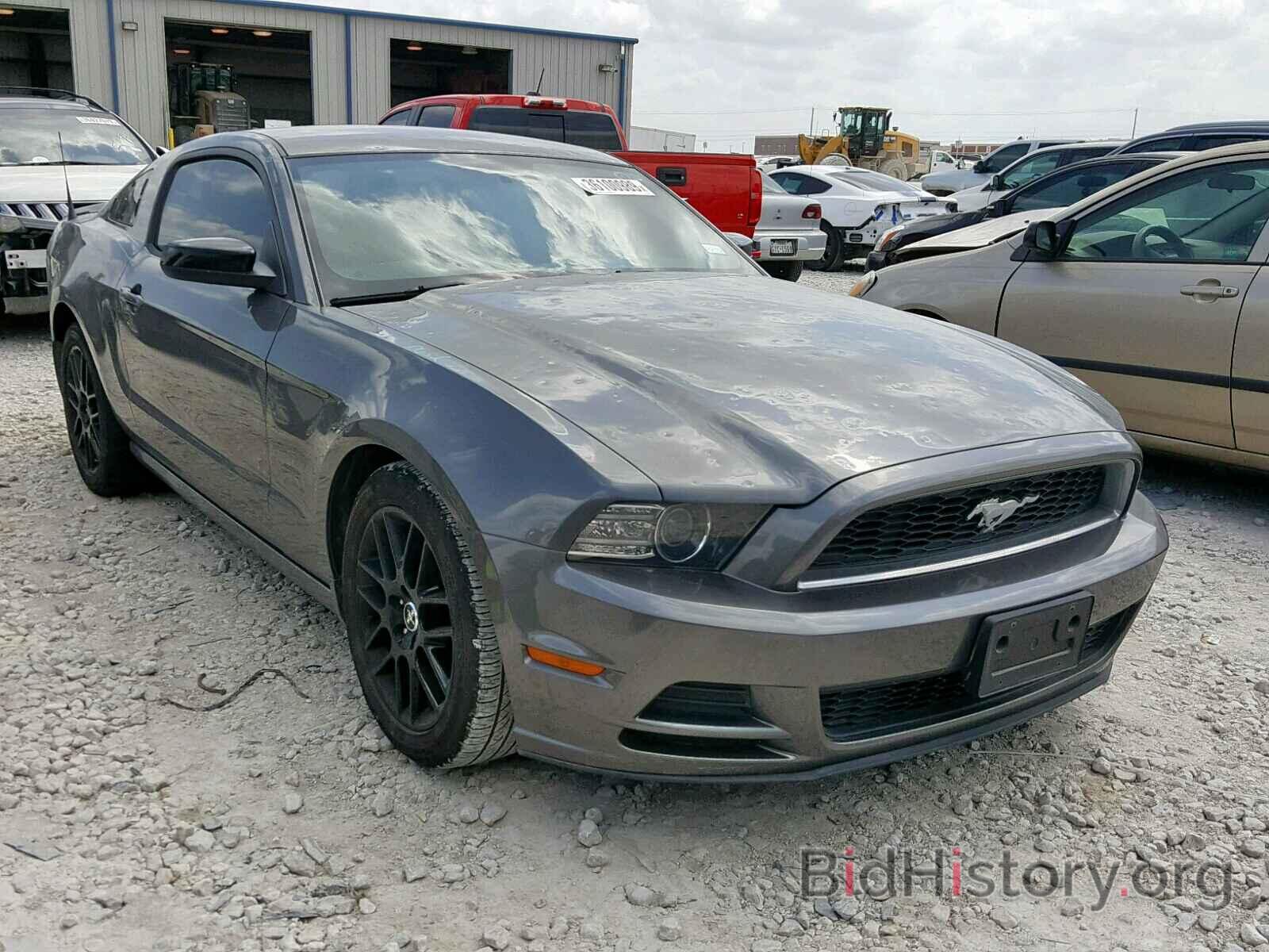 Photo 1ZVBP8AM8E5294386 - FORD MUSTANG 2014