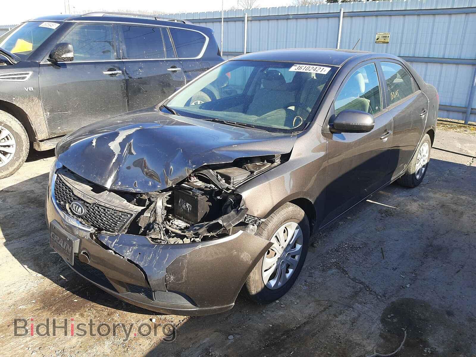 2012 KIA FORTE - VIN: KNAFU4A2XC5470983 - Фото 2