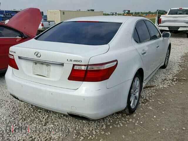 2008 LEXUS LS460 - VIN: JTHBL46F085059906 - Фото 4