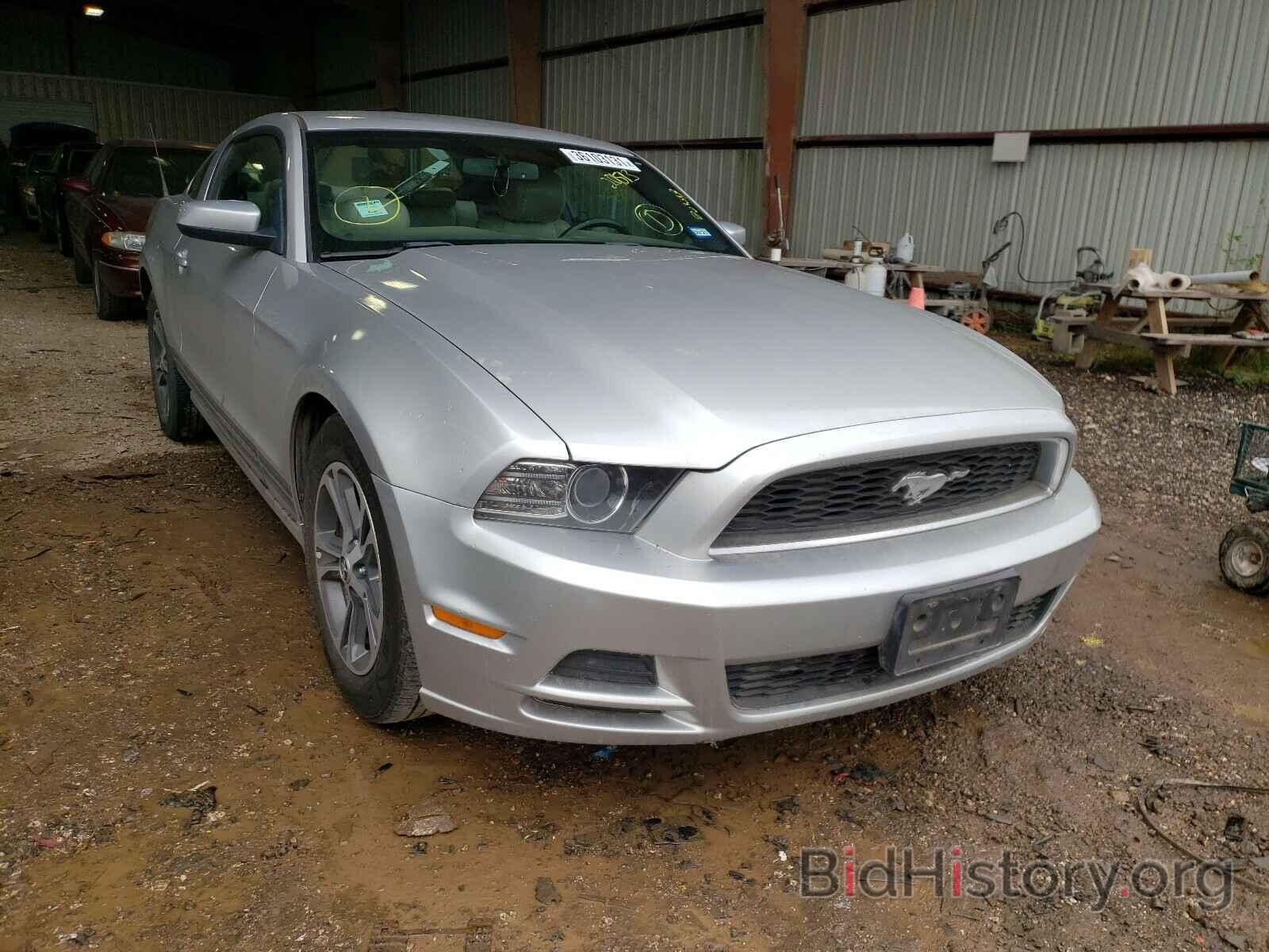 Photo 1ZVBP8AM8E5201513 - FORD MUSTANG 2014