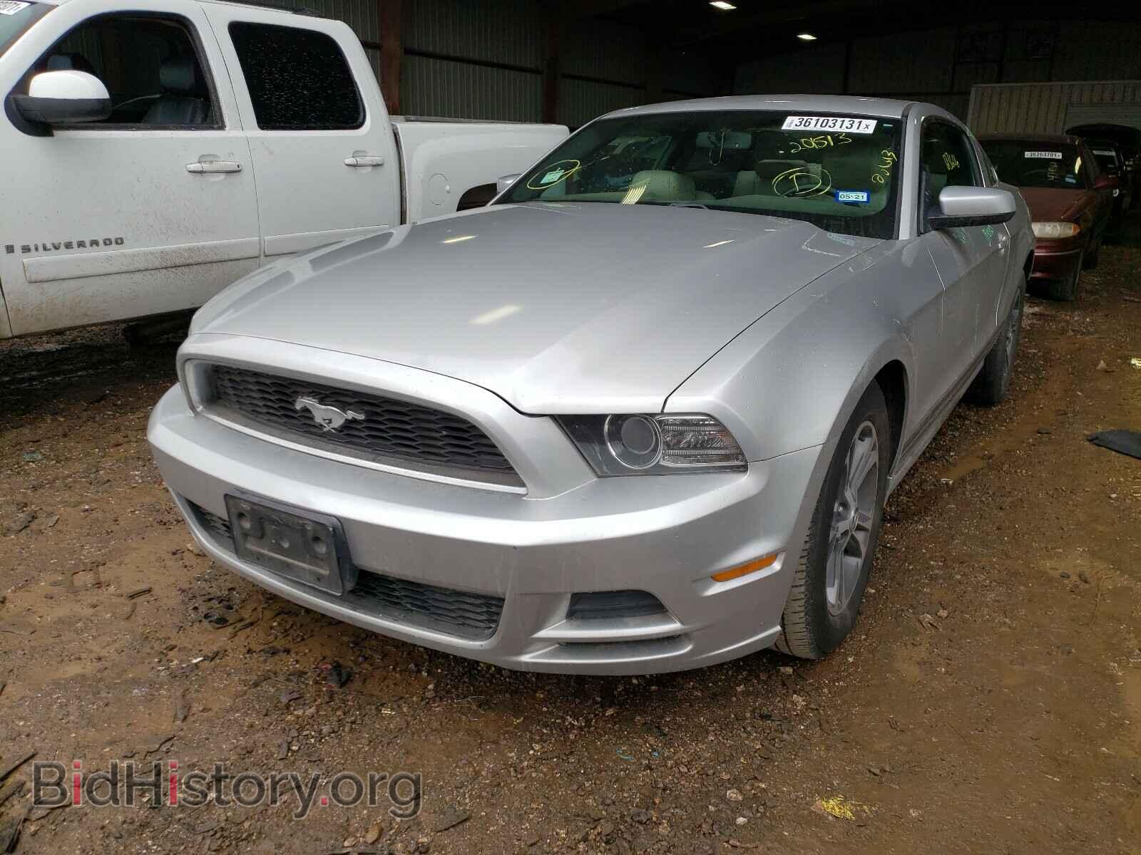 2014 FORD MUSTANG - VIN: 1ZVBP8AM8E5201513 - Фото 2