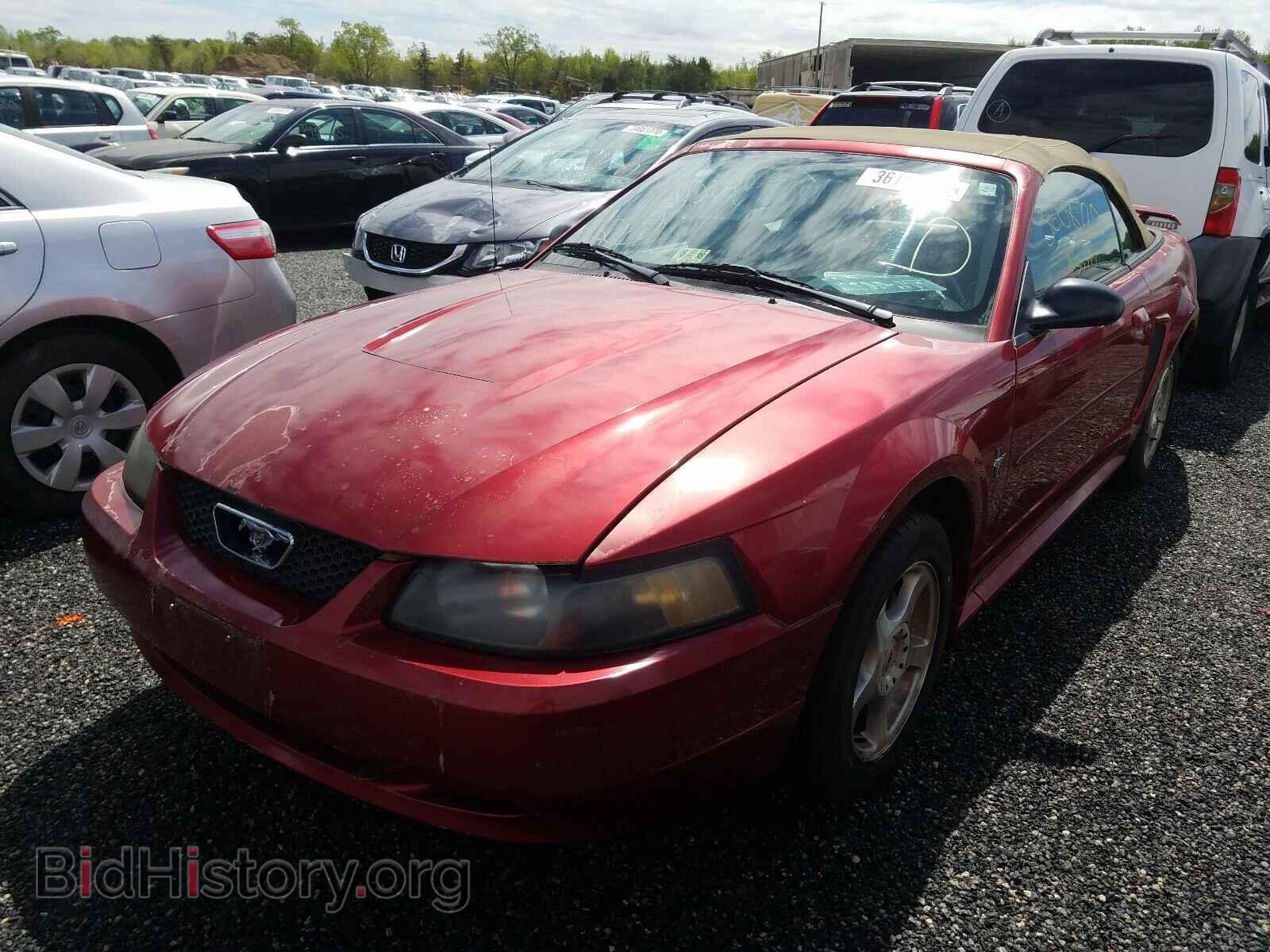 2003 FORD MUSTANG - VIN: 1FAFP44493F408112 - Фото 2