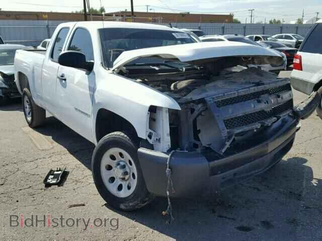 Photo 1GCEC19J58Z245401 - CHEVROLET SILVERADO 2008