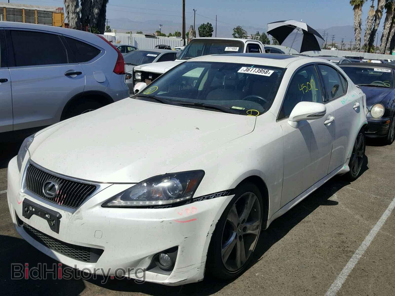 2013 LEXUS IS250 - VIN: JTHBF5C24D5185128 - Фото 2
