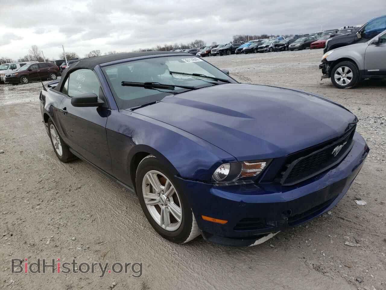 Фотография 1ZVBP8EM8C5201941 - FORD MUSTANG 2012