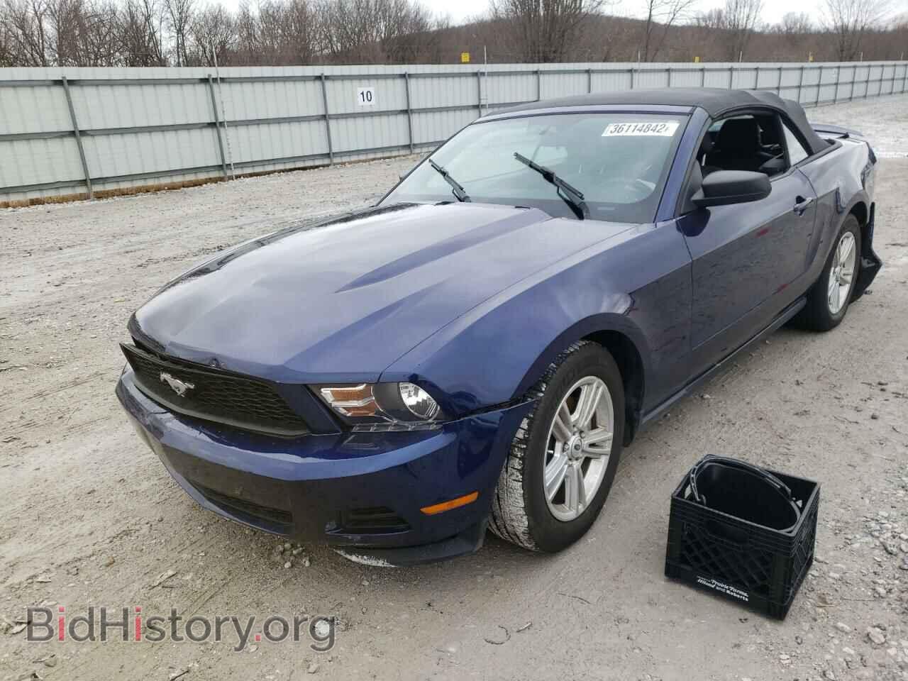 2012 FORD MUSTANG - VIN: 1ZVBP8EM8C5201941 - Фото 2