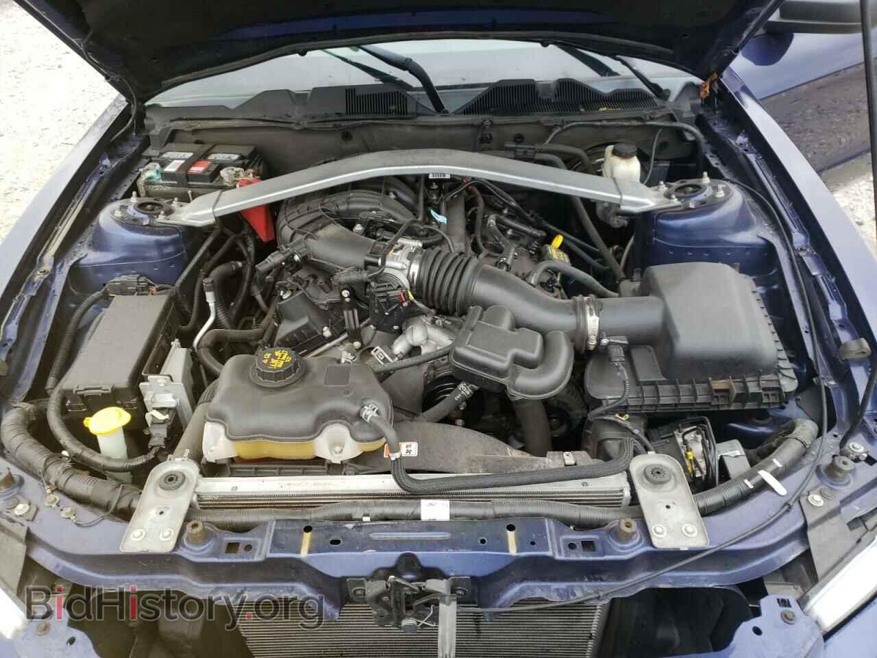2012 FORD MUSTANG - VIN: 1ZVBP8EM8C5201941 - Фото 7