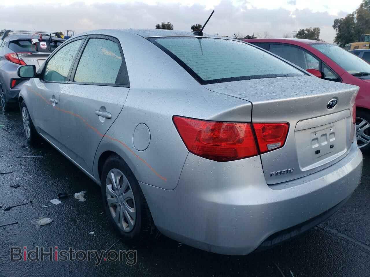 2013 KIA FORTE - VIN: KNAFU4A21D5680275 - Фото 2