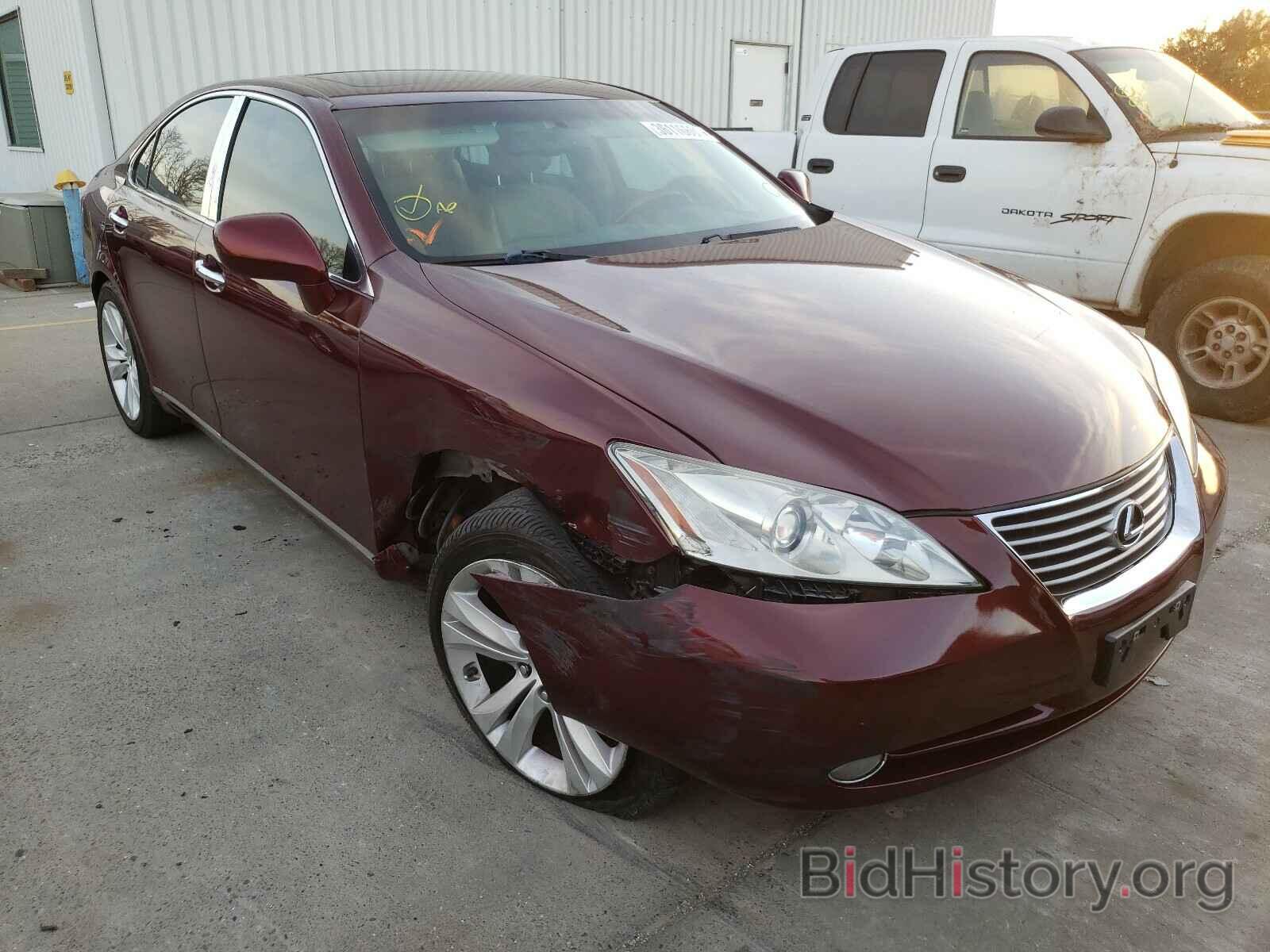 Фотография JTHBJ46G772110526 - LEXUS ES350 2007