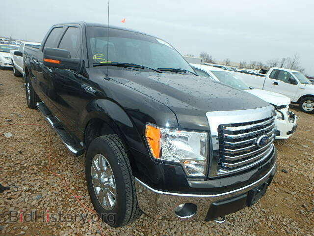 Фотография 1FTFW1EF4CFB88356 - FORD F150 2012