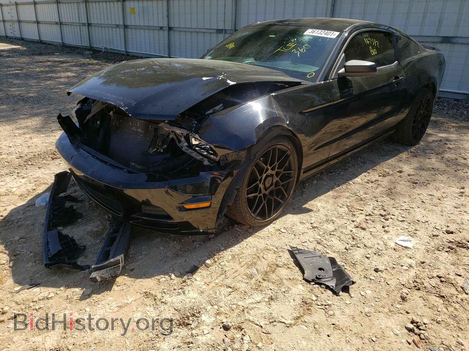 2013 FORD MUSTANG - VIN: 1ZVBP8AM6D5258503 - Фото 2