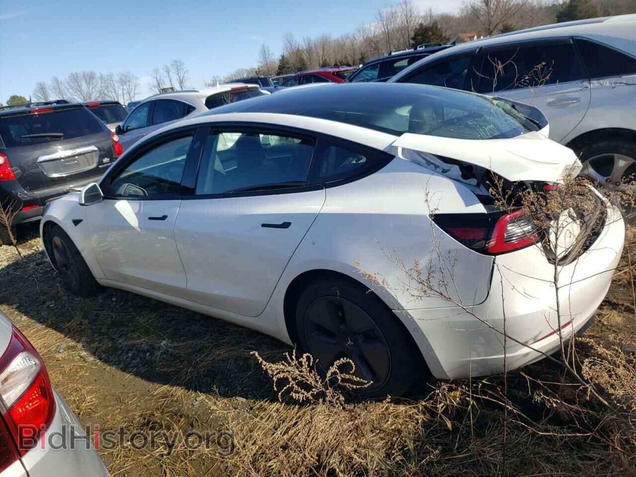 2021 TESLA MODEL 3 - VIN: 5YJ3E1EA5MF058084 - Photo 2