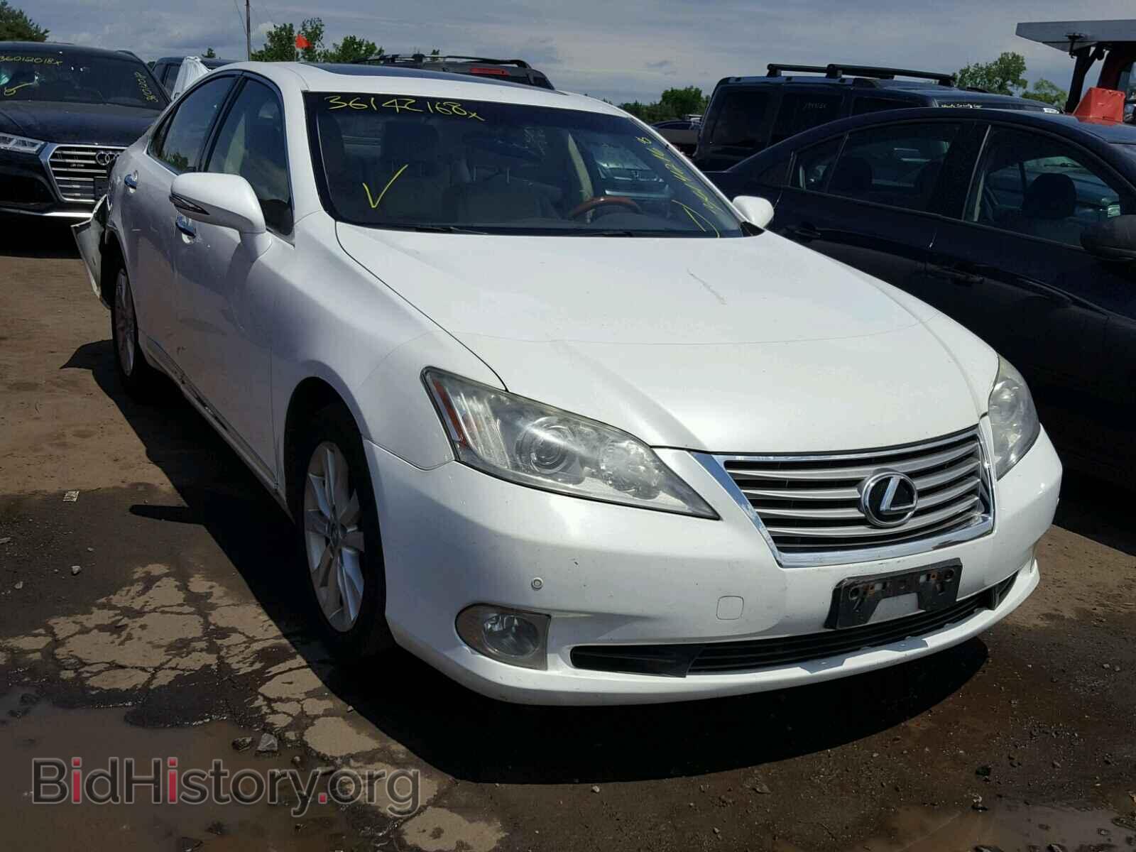 Фотография JTHBK1EG8C2480388 - LEXUS ES350 2012
